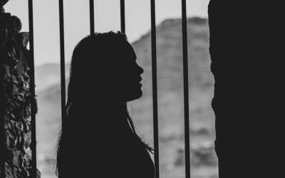 11 Places to Get Free and Legal Photos for Your Blog