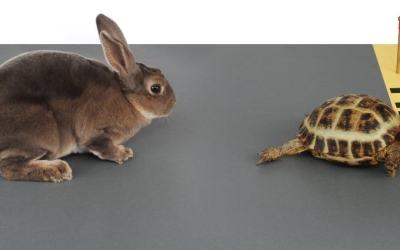 10 Reasons to Delay Your Book Launch