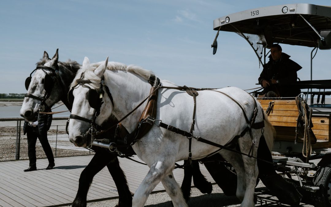 How to Build an Email List Before Your First Book Comes Out Using Short Stories