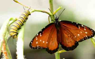 How to Extend Your Book’s Life With Effective Marketing